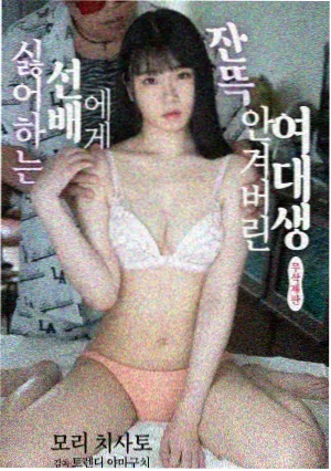 梦华录 免费电视剧老牛在线观看